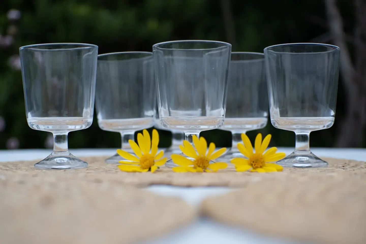 Set de 6 Mini copas de postre (180 ml) 2