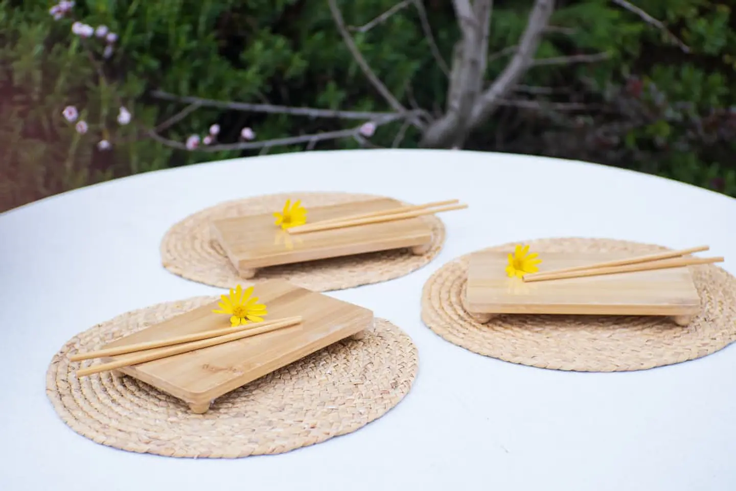 Tablas de Bambú para Sushi y Sashimi  5