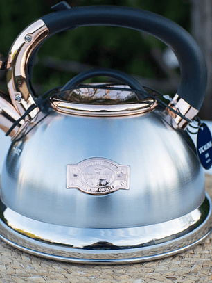 Tetera de Acero Inoxidable Vicalina de 3 Litros