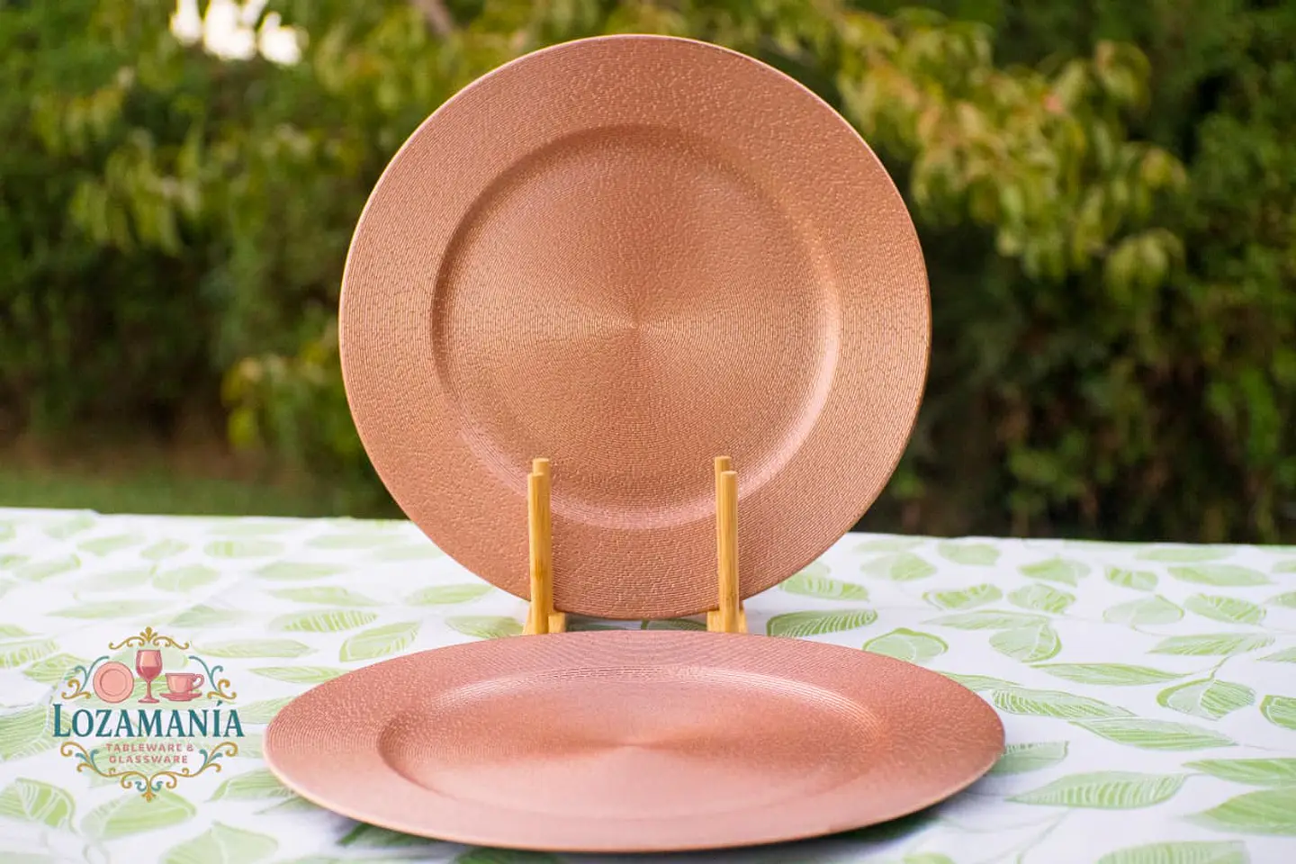 Packs de 6 platos decorativos 33 Cm diseños 4