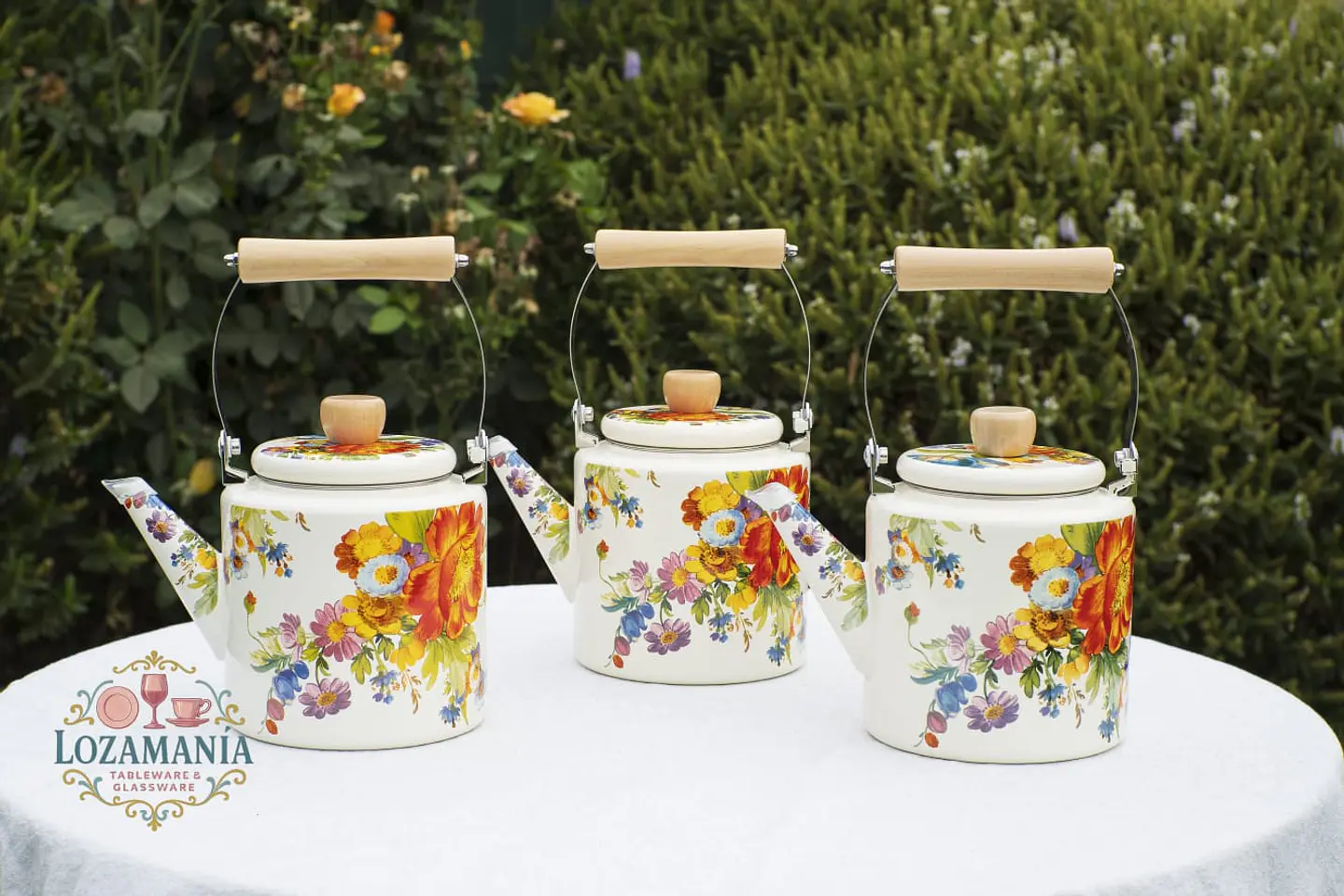 Tetera Enlozada 2 Litros Premium 3