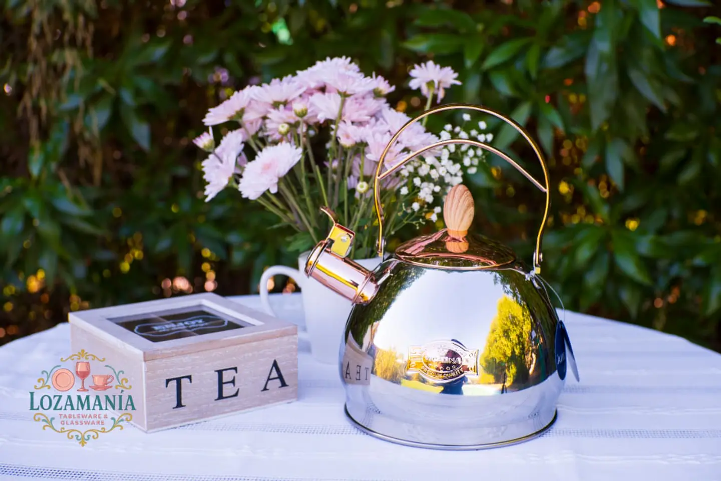 Tetera de Acero Inoxidable Vicalina de 2.8 Litros 2