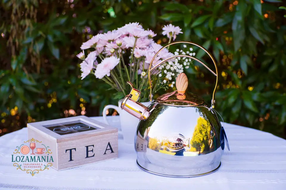 Tetera de Acero Inoxidable Vicalina de 2.8 Litros 2