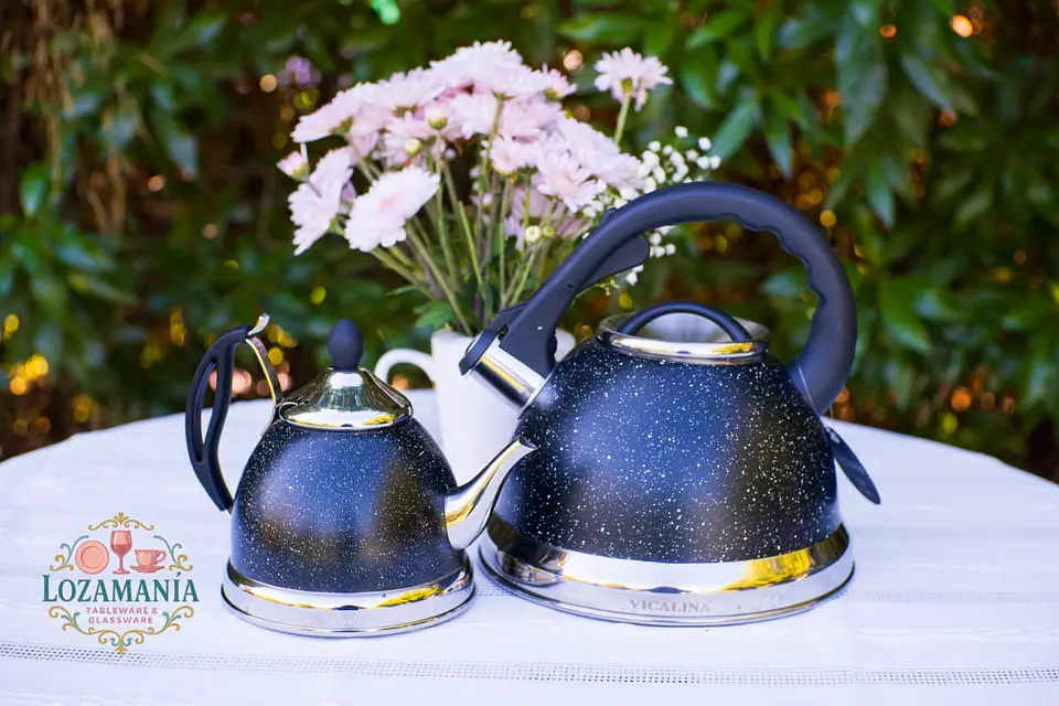 Tetera de Acero Inoxidable Vicalina de 3.2 Litros 3