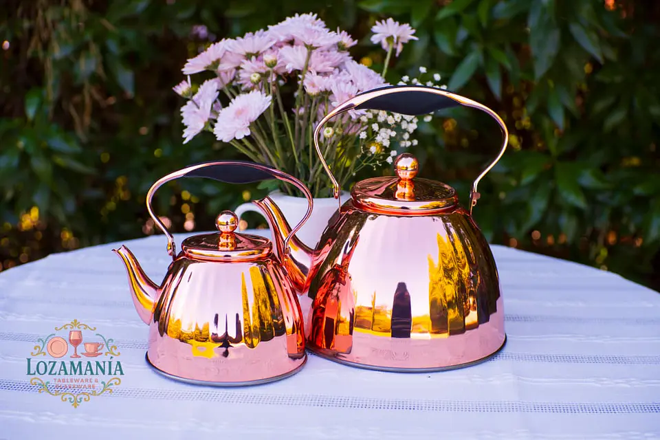 Tetera Infusora de Acero Inoxidable 1,5 Litros Uakeen 3