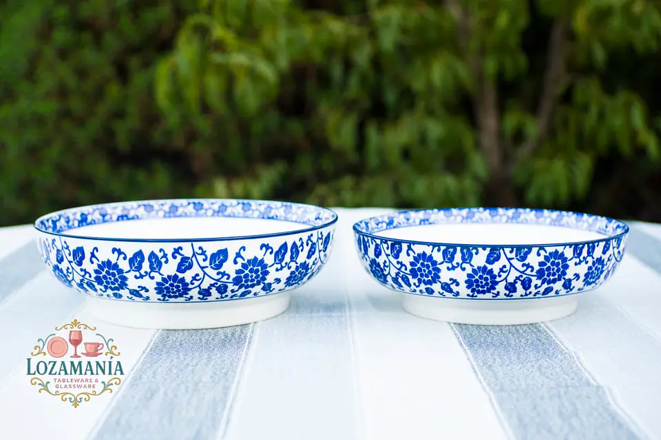 Set de 2 Ensaladeras de Porcelana  3