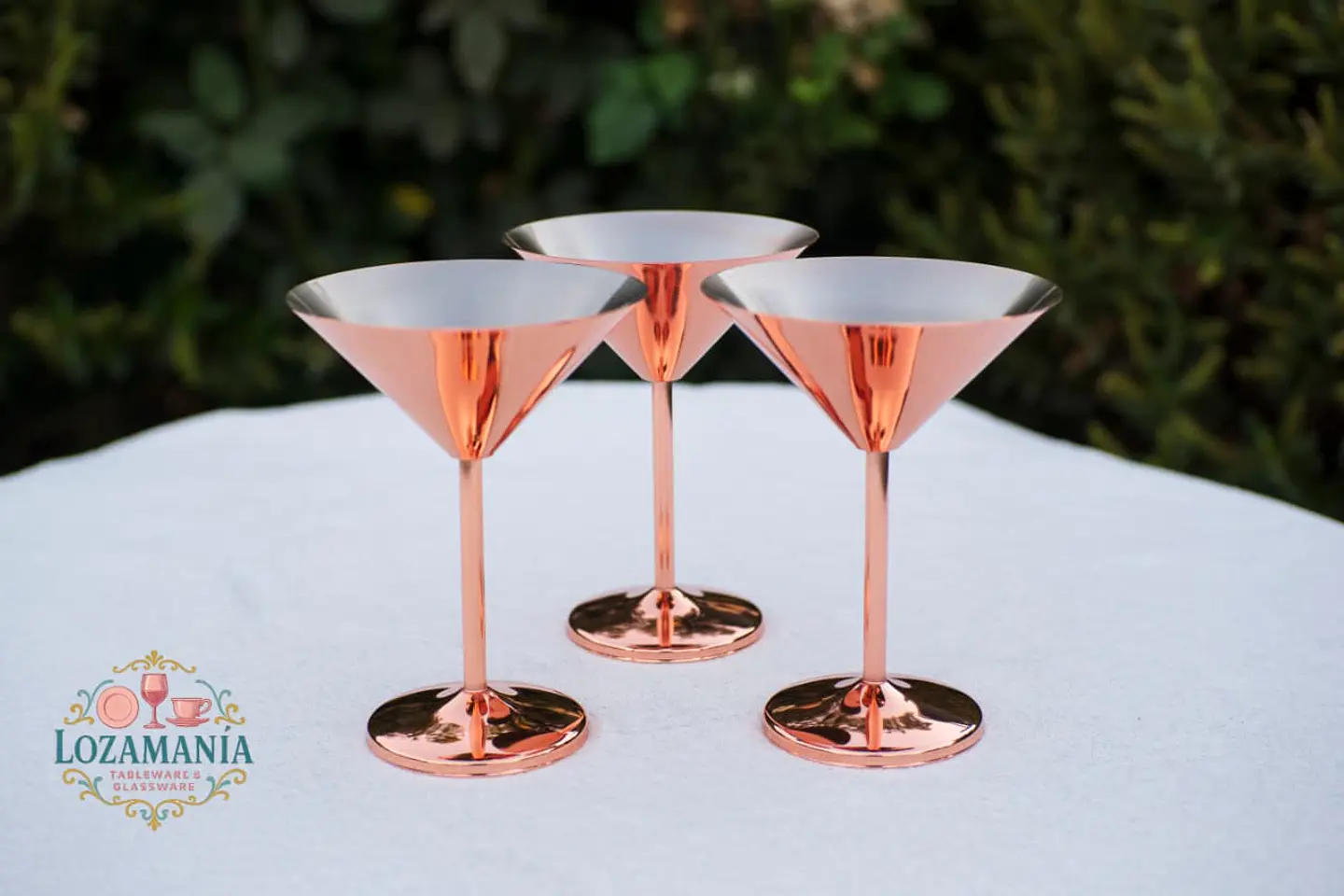 Copas Martini Acero Inoxidable 220 ml 4
