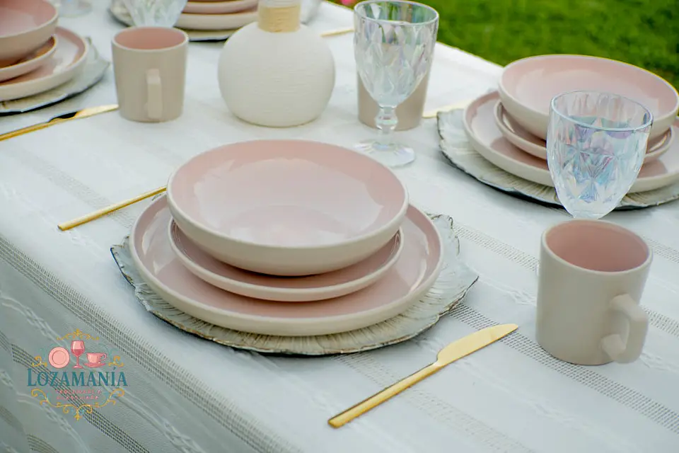 Set de Loza para 4 personas 16 piezas Rosa y Beige 8