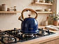 Tetera Silbadora de Acero Inoxidable 3 Litros Vicalina Azul Vintage - Miniatura 2
