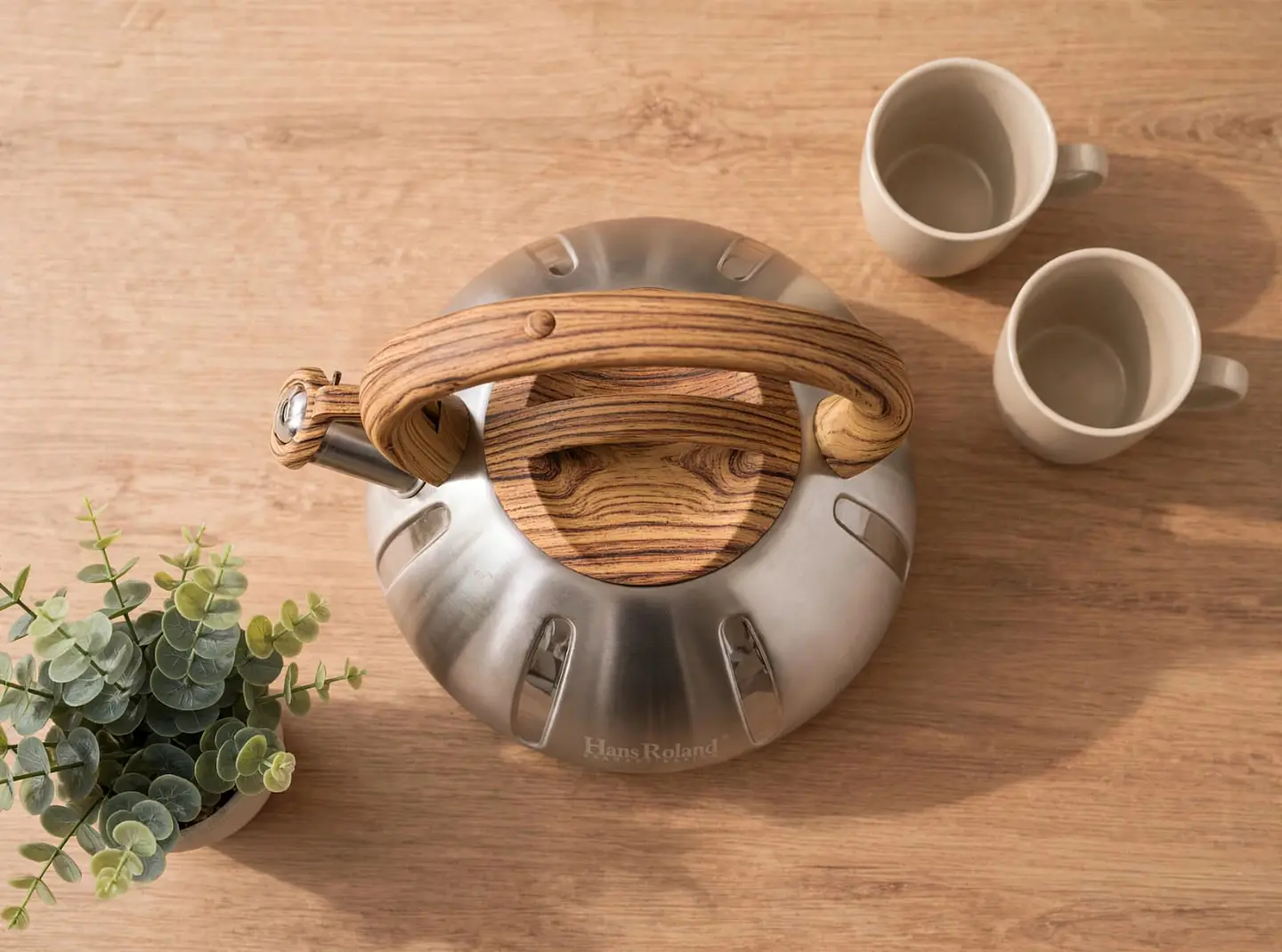Tetera Silvadora de Acero Inoxidable Haus Roland 3 Litros 3