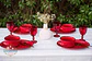 Set de Loza 4 personas 8 Piezas Turquesa y Rojo - Miniatura 15