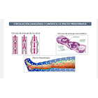 Lipolaser y Presoterapia Pack 6 Sesiones  2