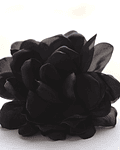 Flor Negra
