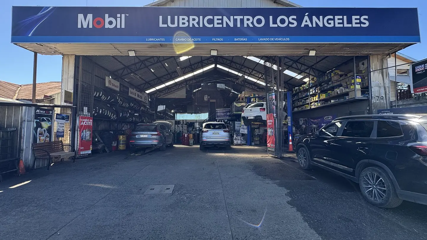 Rendimiento real para tu auto