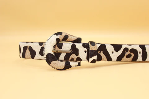 Leopardo 