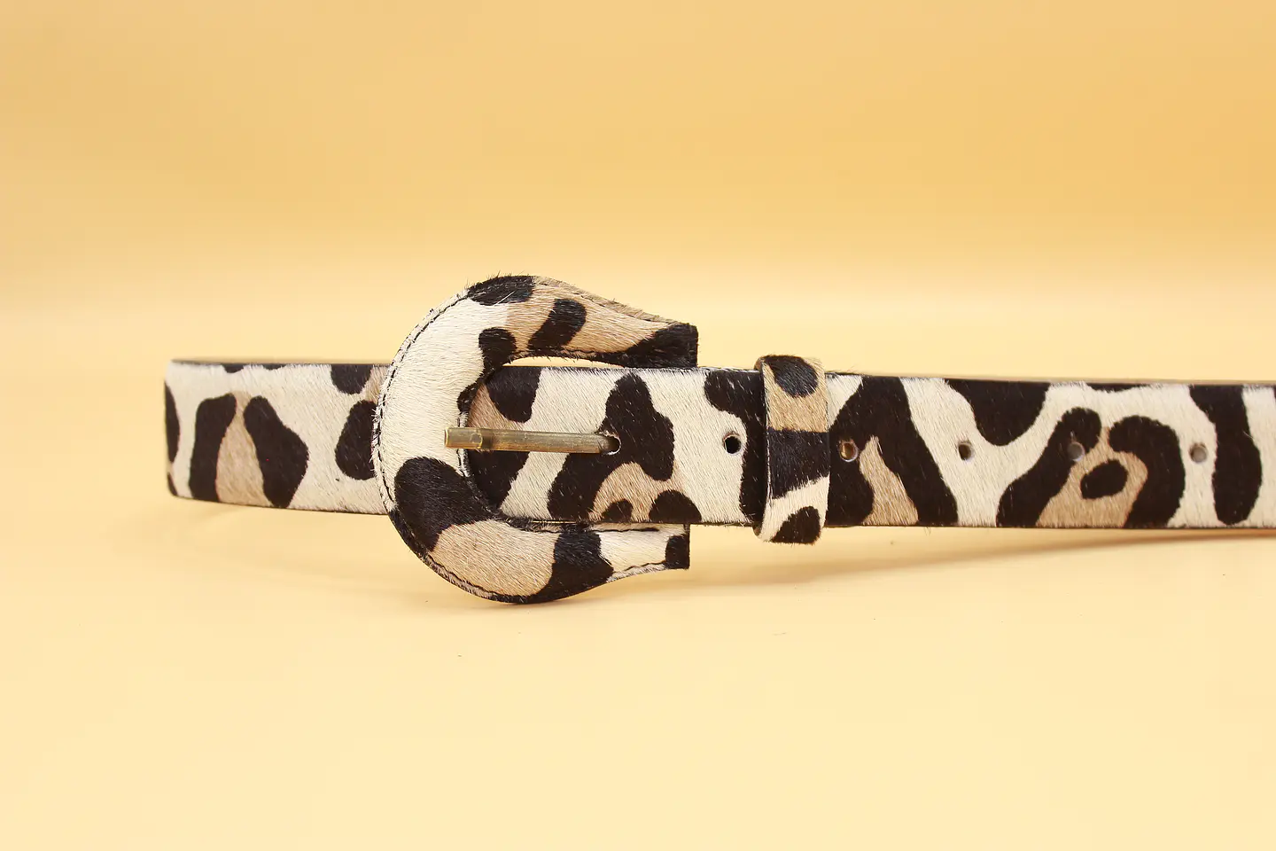 Leopardo  1