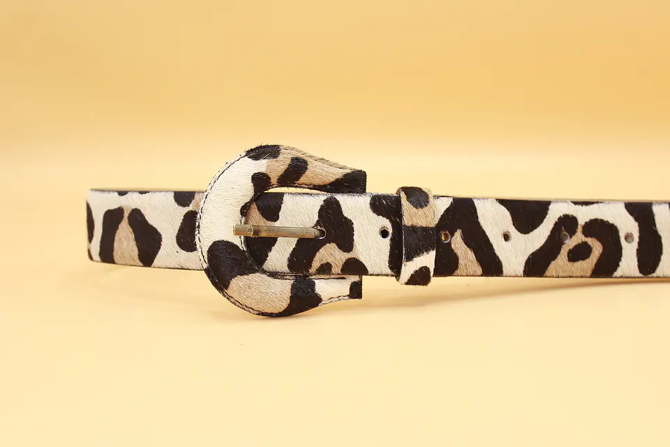 Leopardo  1