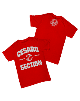 Cesaro - Cesaro Section