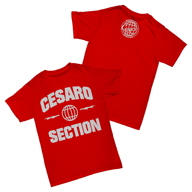 Cesaro - Cesaro Section