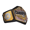 Réplica Cinturón WWE United States Championship