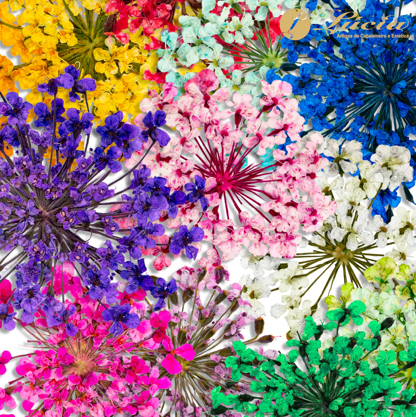 Inocos Flores Secas para nail art 2