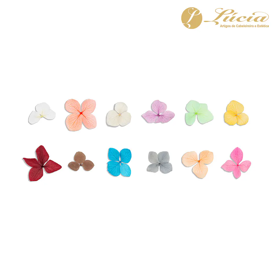 Flores Secas para Nail Art - Inocos Wine Edition 2