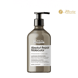 Absolut Repair Molecular Shampoo  500ml