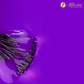 Inocos Verniz Gel - Maria Pintarola - thumbnail 2