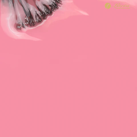 Inocos Verniz Gel - Bomboca Doce