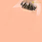 Inocos Verniz Grl - Laurindinha - Thumbnail 2