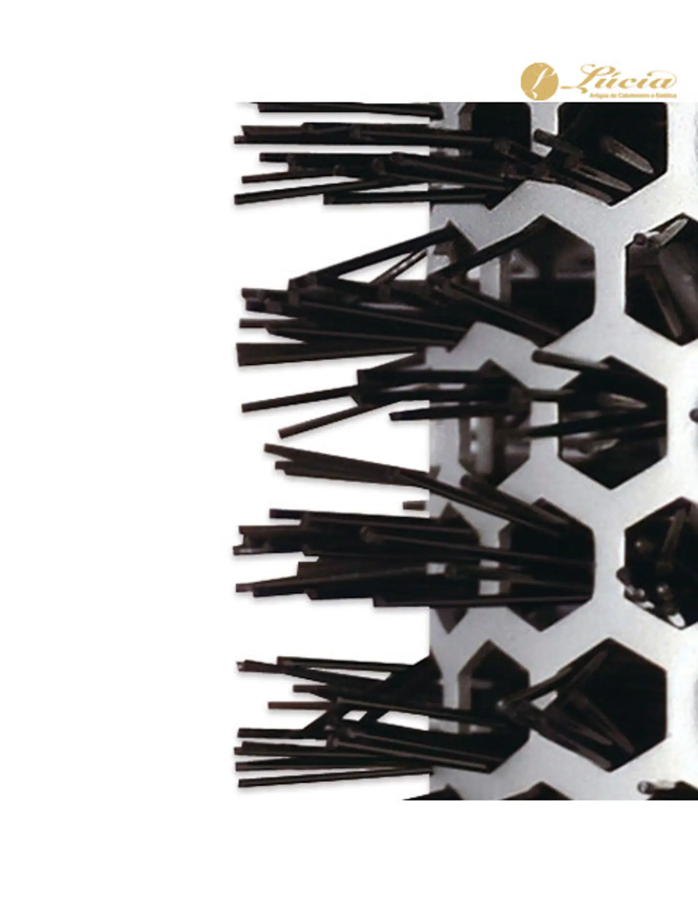 Escova Jaguar Serie T330 33mm 2