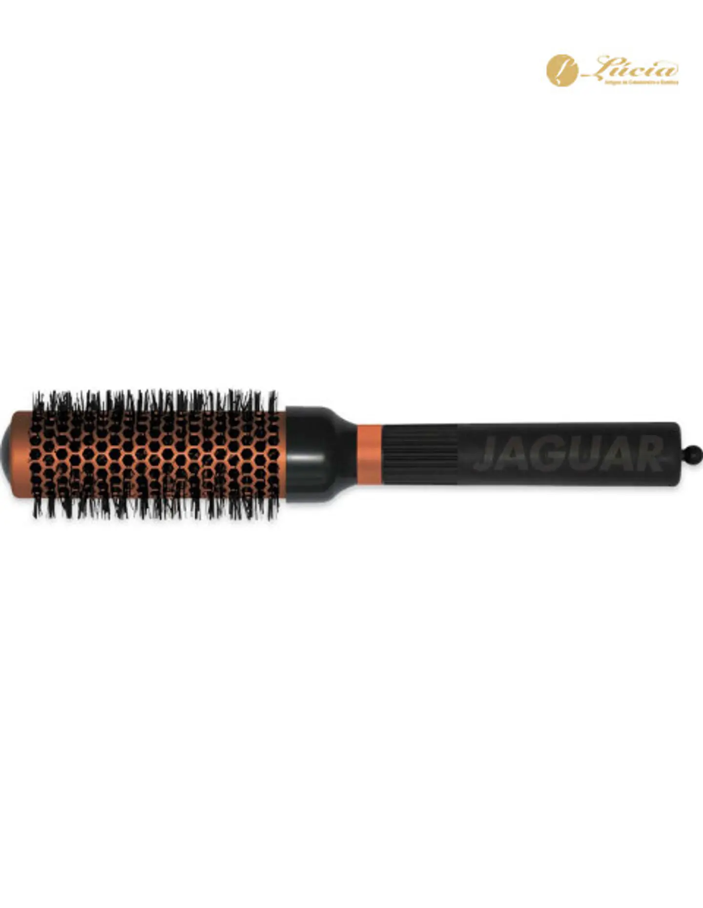 Escova Jaguar Serie CC33 1