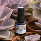 Inocos Verniz Gel - Flor da Pele - Thumbnail 4