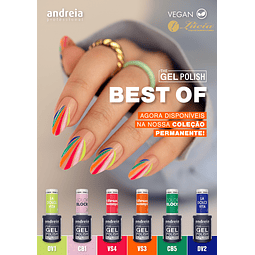Coleção 6 cores Best Of Andreia Professional