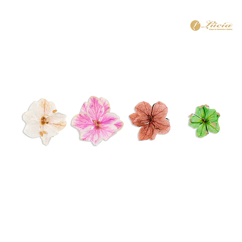 Inocos Natura Flowers