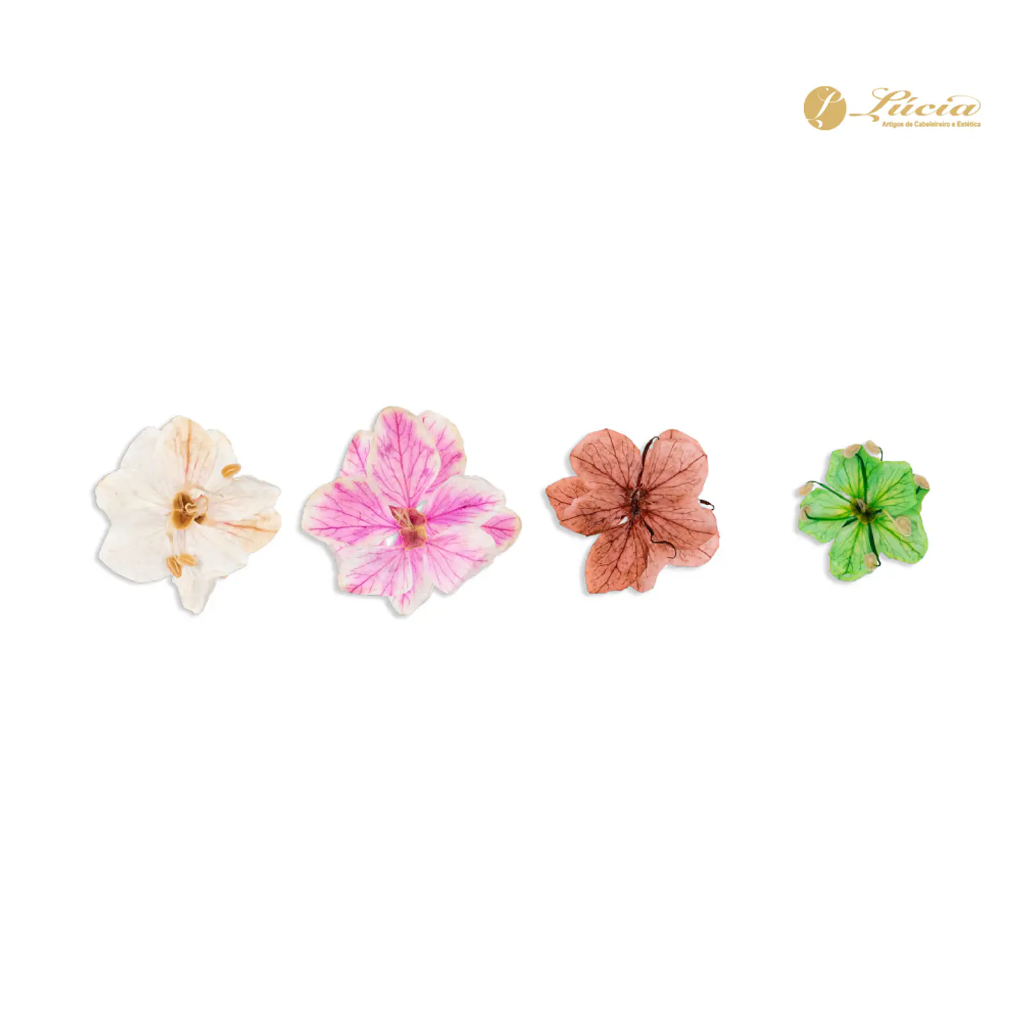 Inocos Natura Flowers 2
