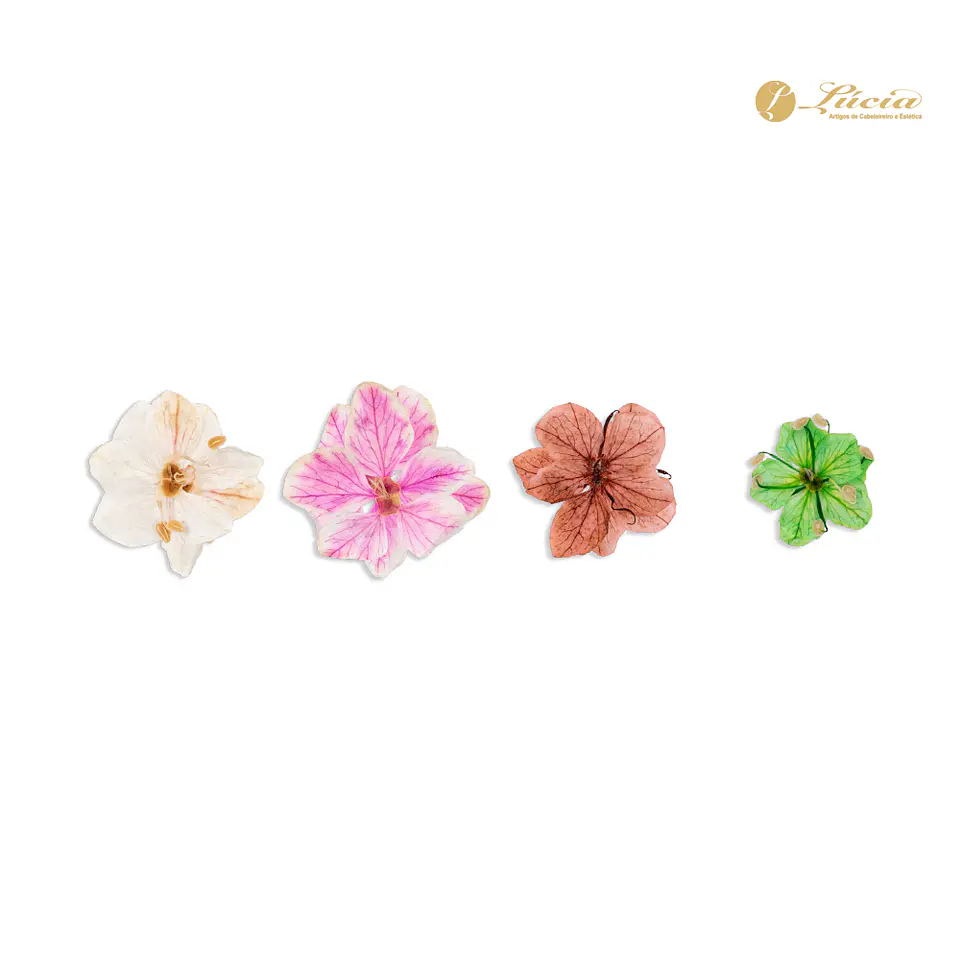 Inocos Natura Flowers 2