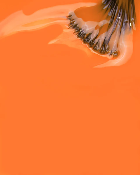 Inocos - Maria Azulejo