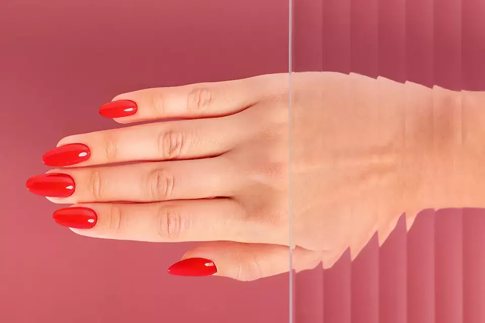 Victoria Vynn - Coleção FASHION FOLLOWER 8 CORES V.GEL  16