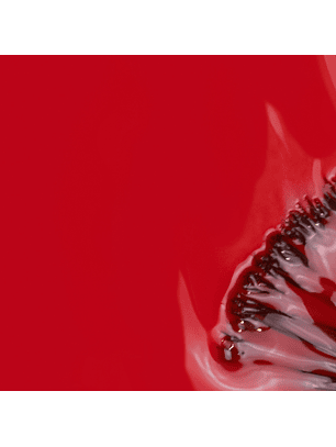 INOCOS - Verniz Gel Outra Vez Meias?