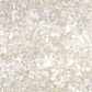 INOCOS - Bioglitter 01 Pérola 2.4mm - Miniatura 3