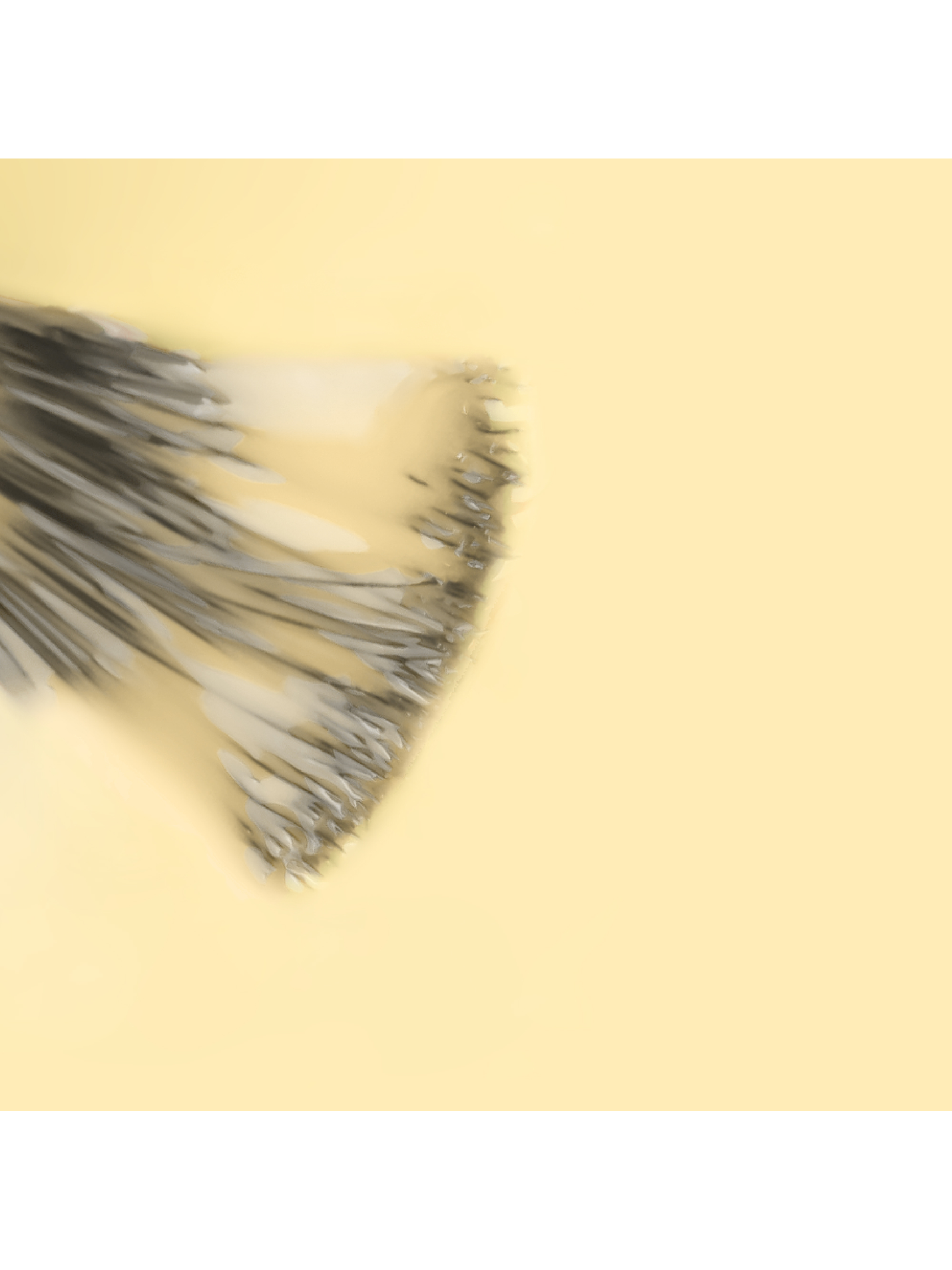 INOCOS - Verniz Gel Sou Básica e Depois? 3