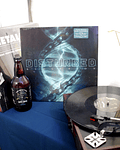 VINILO DISTURBED EVOLUTION