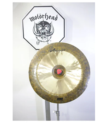 CHINA 18 EDGE ARBOREA