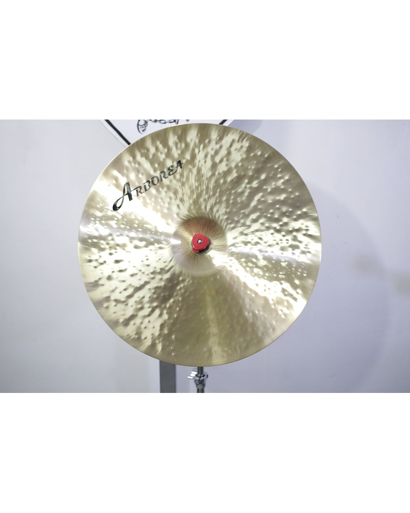 RIDE 19 HYBRID AP ARBOREA 