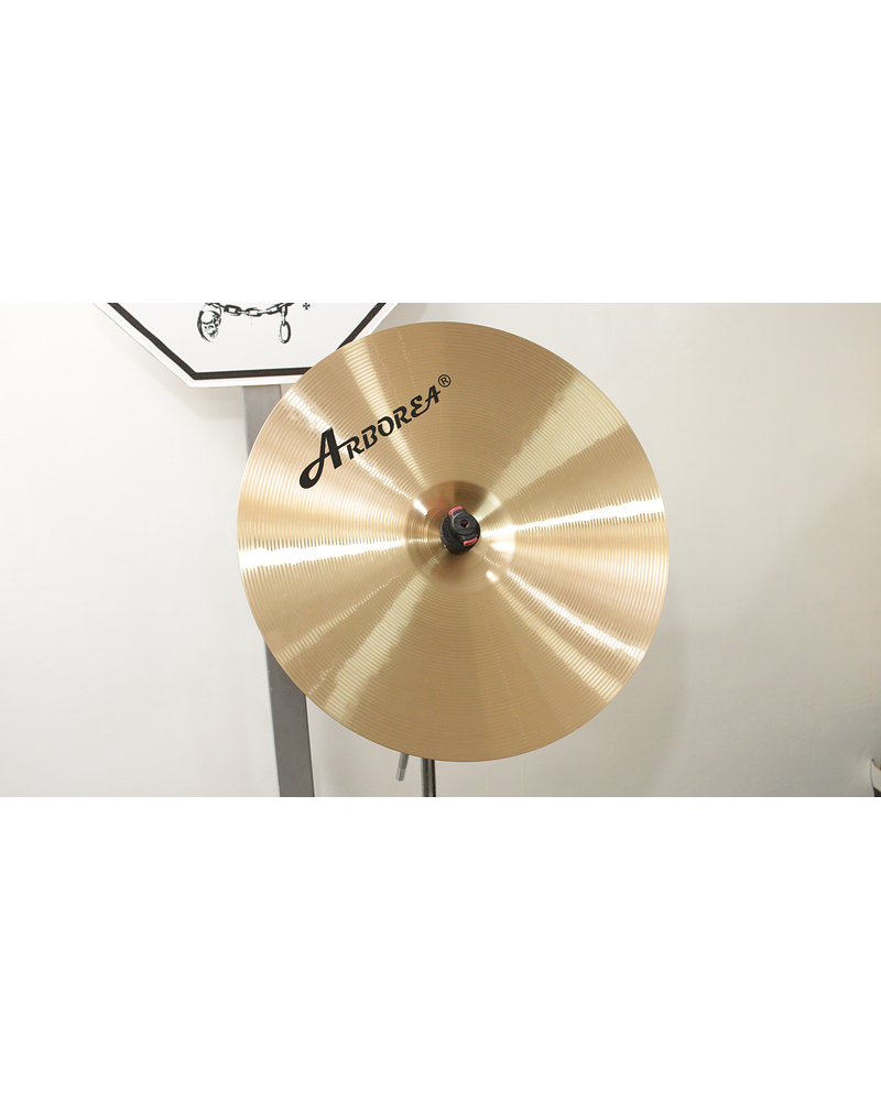 CRASH 18 VIKING ARBOREA