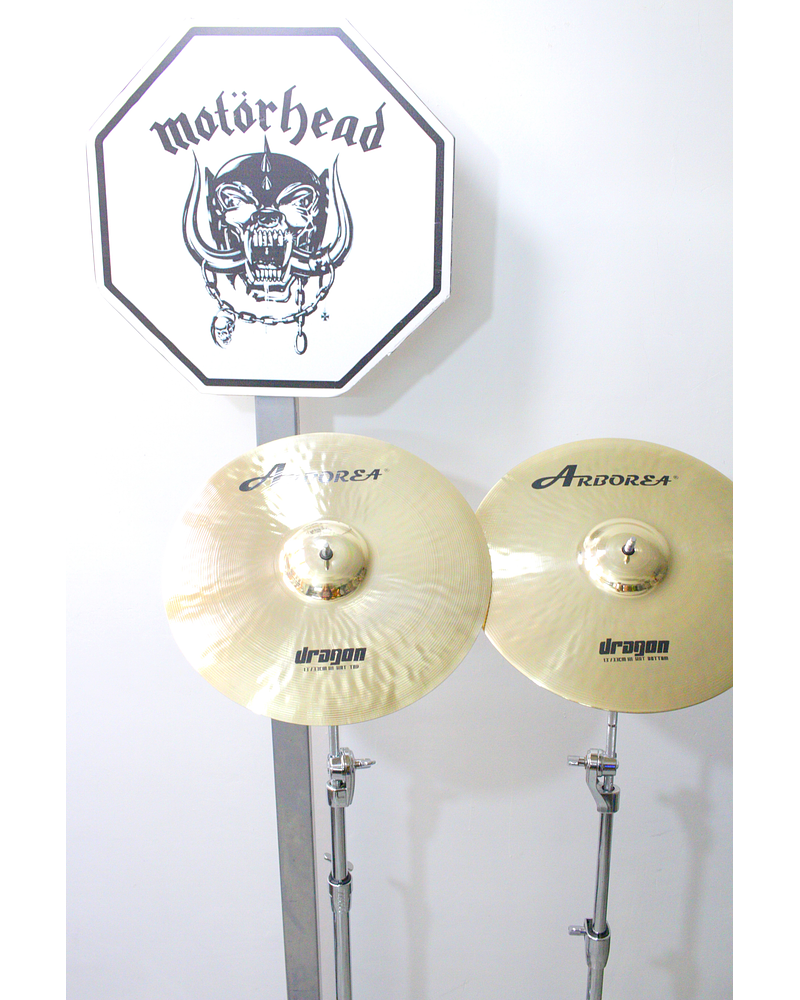 HI HAT 13 DRAGON ARBOREA