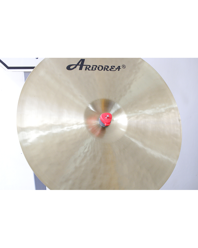 CRASH 20 DRAGON ARBOREA