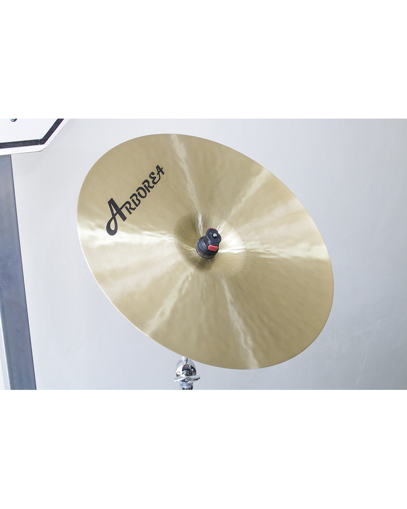 CRASH 17 GHOST ARBOREA