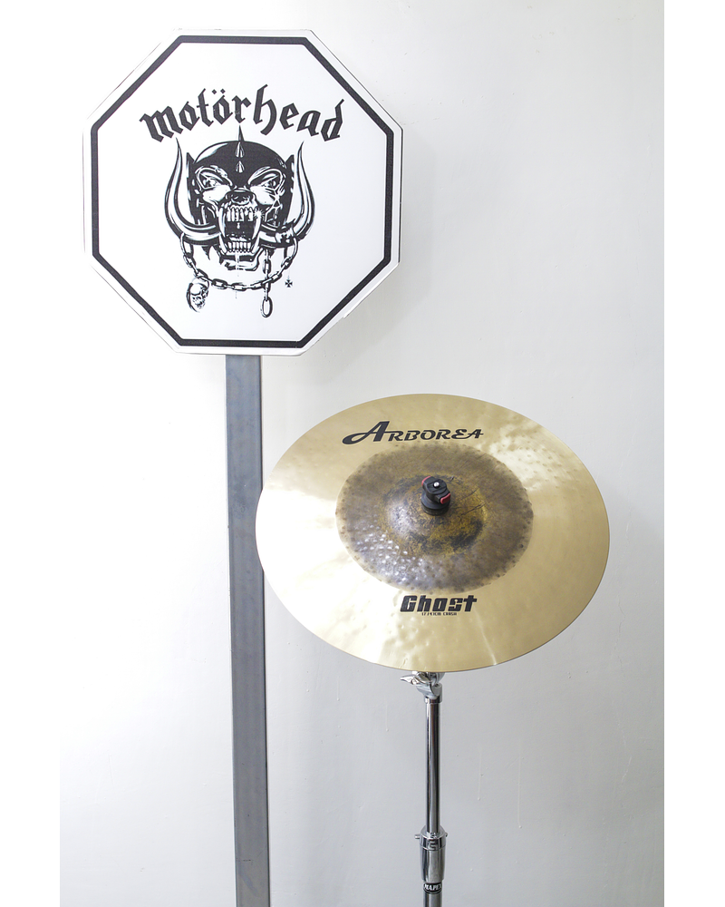 CRASH 17 GHOST ARBOREA